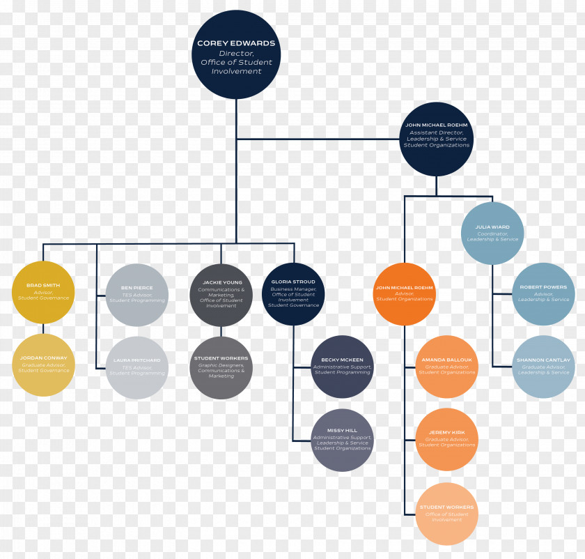 Organization Chart Organizational Structure Division PNG