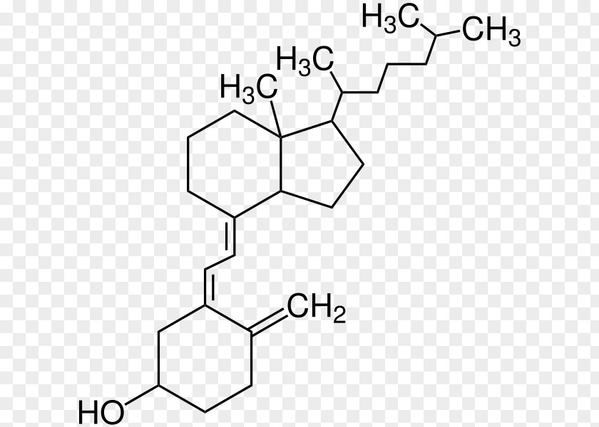 Cholecalciferol Biology Isobutyl Acetate Function Science PNG