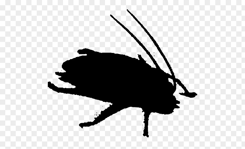 Clip Art Fauna Carnivores Silhouette Pest PNG