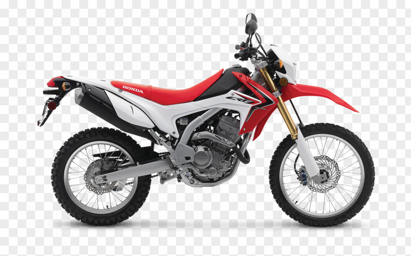 Dirtbike Honda CRF250L Motorcycle CRF Series Champion PNG