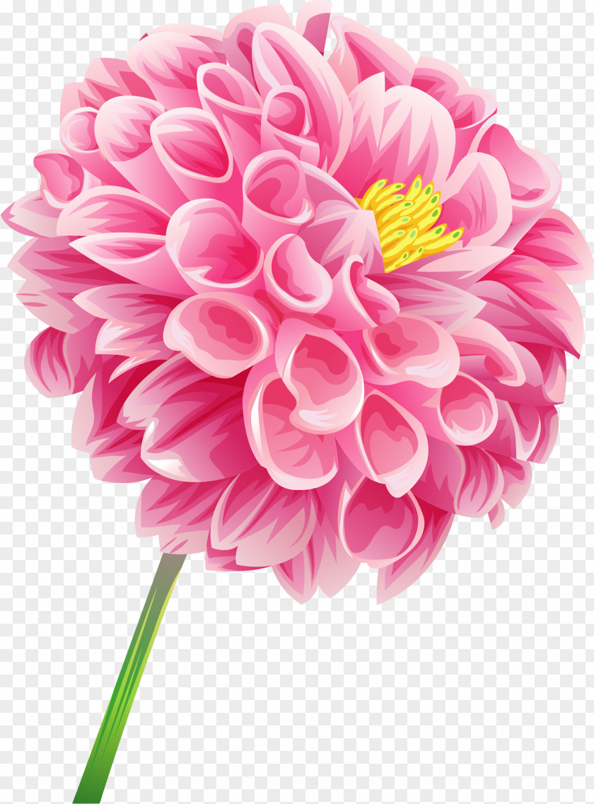 Pea Desktop Wallpaper Flower PNG
