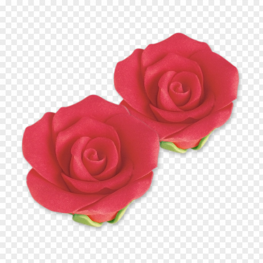 Rot Garden Roses Cabbage Rose Floribunda Cut Flowers Petal PNG