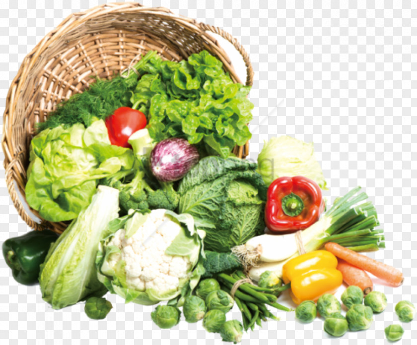 Samurai Top Farm 2 Indore Stock Photography Organic Food Stock.xchng Vegetable PNG