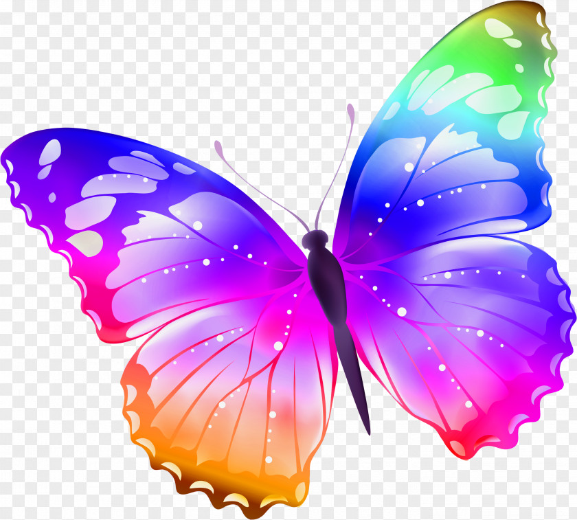 Buterfly The Witcher Butterfly Sticker Clip Art PNG