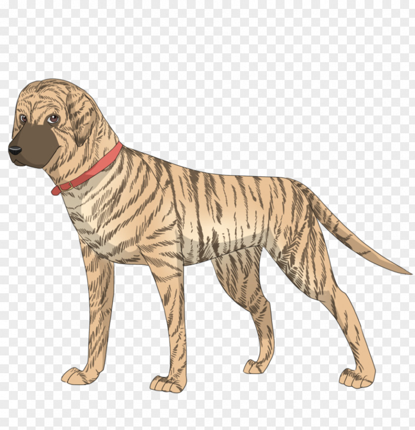 Cat Dog Breed Sporting Group Retriever PNG