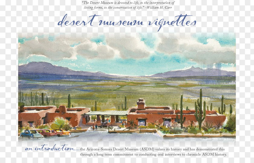 Desert Arizona-Sonora Museum The Dessert Landscape PNG
