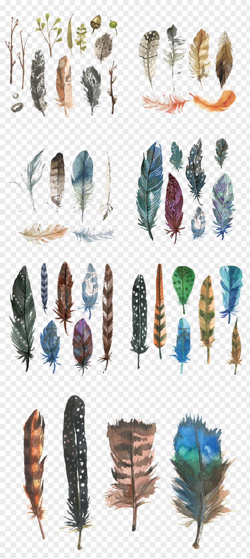 Hand-painted Watercolor Feather Watercolour Flowers Painting PNG