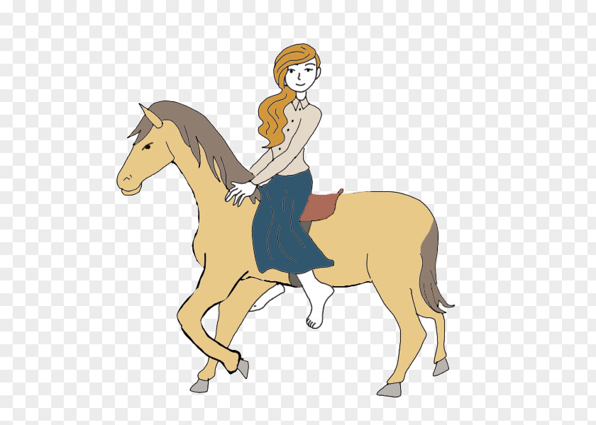 Horse Pony Dream Dictionary Stallion PNG