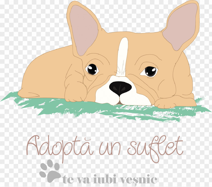 Puppy Dog Breed Non-sporting Group Illustration PNG