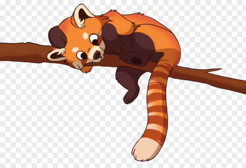 Red Panda Giant Raccoon Cuteness Clip Art PNG