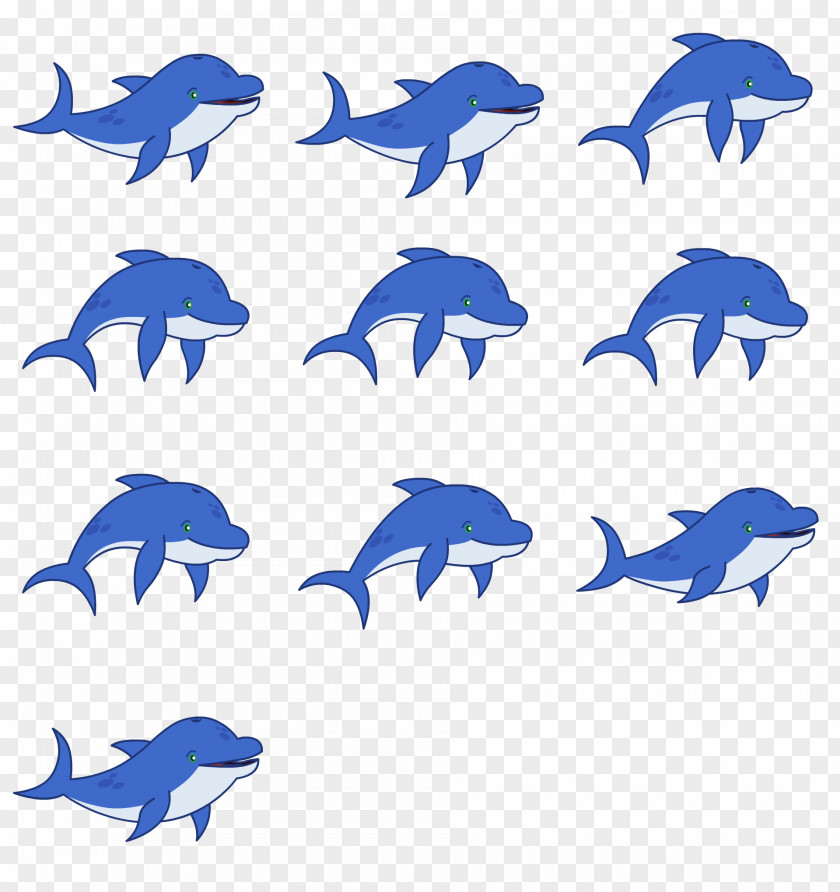 Dolphin Common Bottlenose Porpoise Marine Biology Mammal PNG