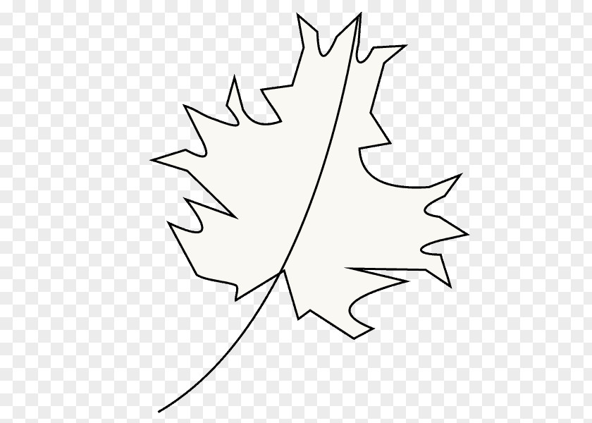 Leaf Maple Twig White Clip Art PNG