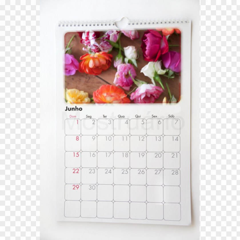 Parede Calendar PNG