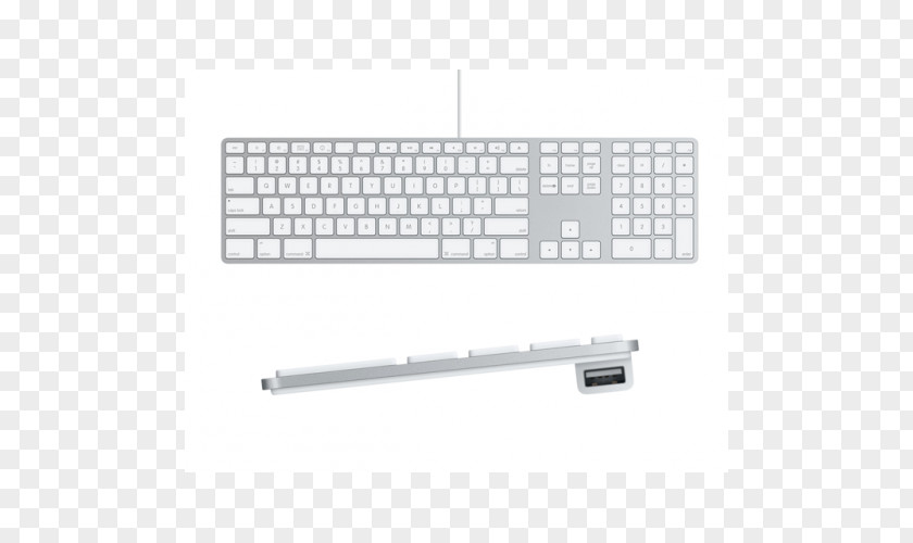 Apple Computer Keyboard Mouse Magic Mighty PNG