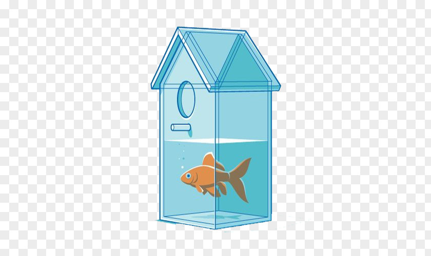 Blue House Pond Fish Download Icon PNG