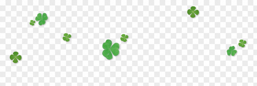 Clover Four-leaf PNG