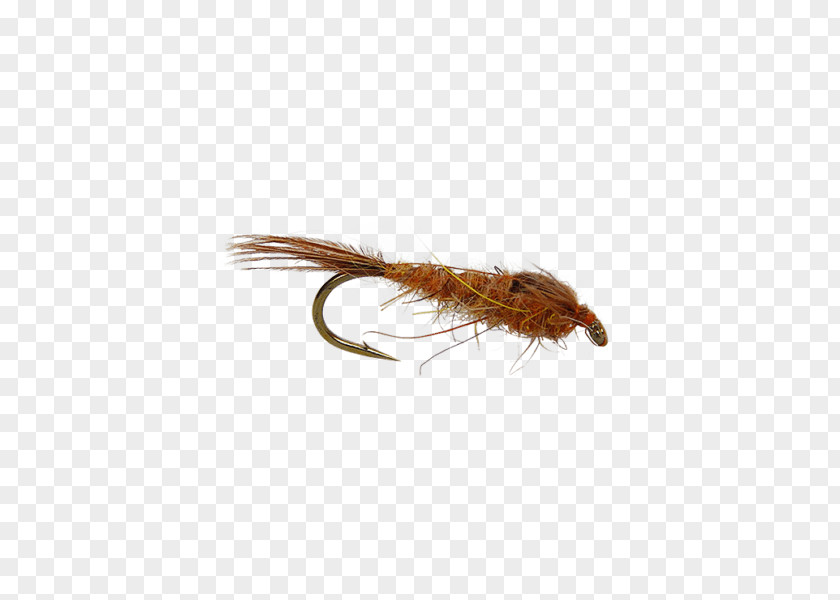 Pheasant Tail Nymph Fly Fishing Rhithrogena Germanica Holly Flies PNG
