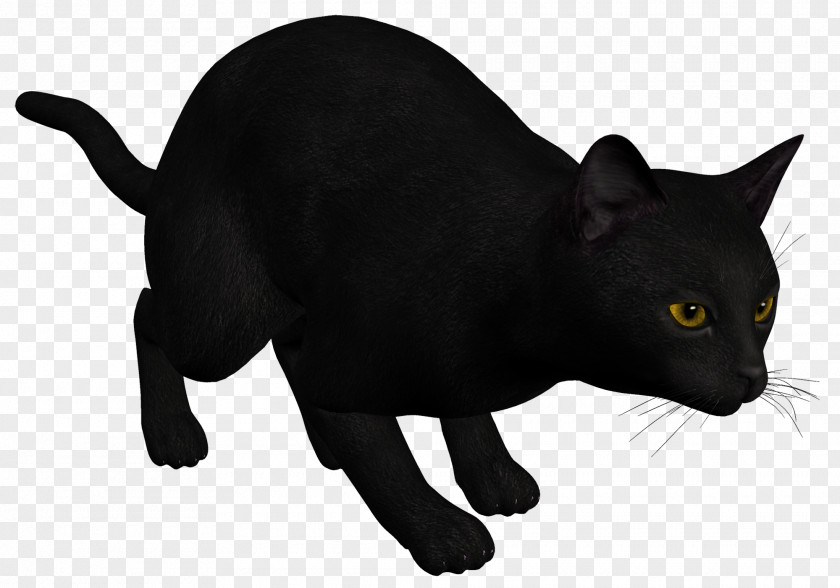 Black Cat Kitten Drawing Clip Art PNG