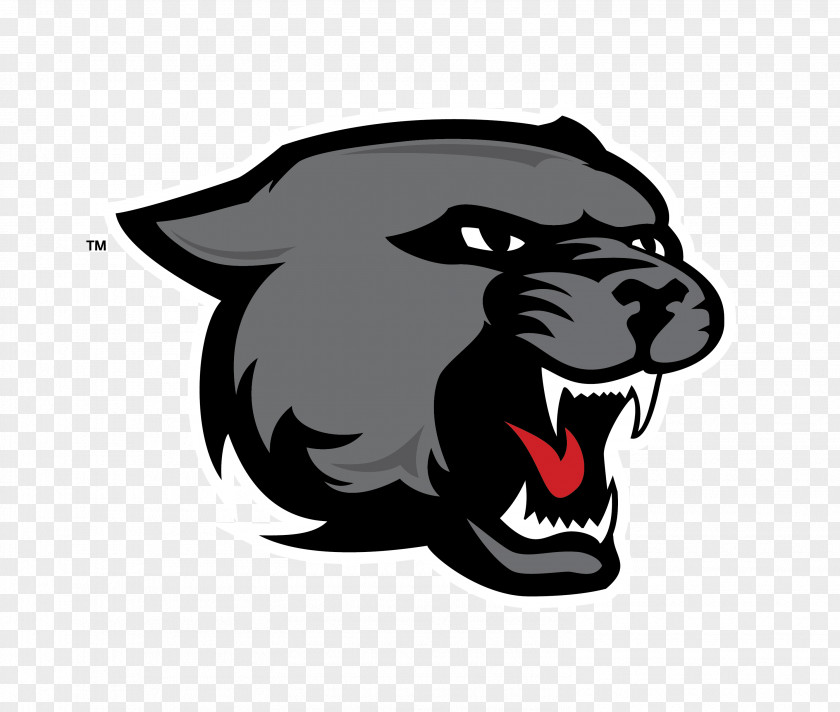 Black Panther Cougar Tiger Drawing PNG