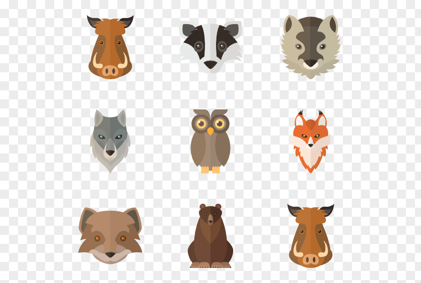 Cute Animals Owl Bird Animal Wildlife PNG