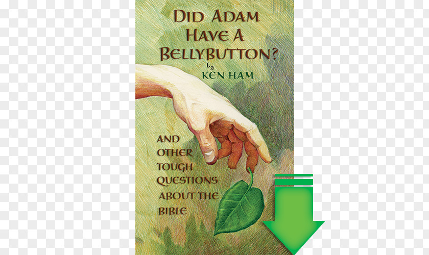 Did Adam Have A Belly Button Bible Book Navel Spirituality PNG