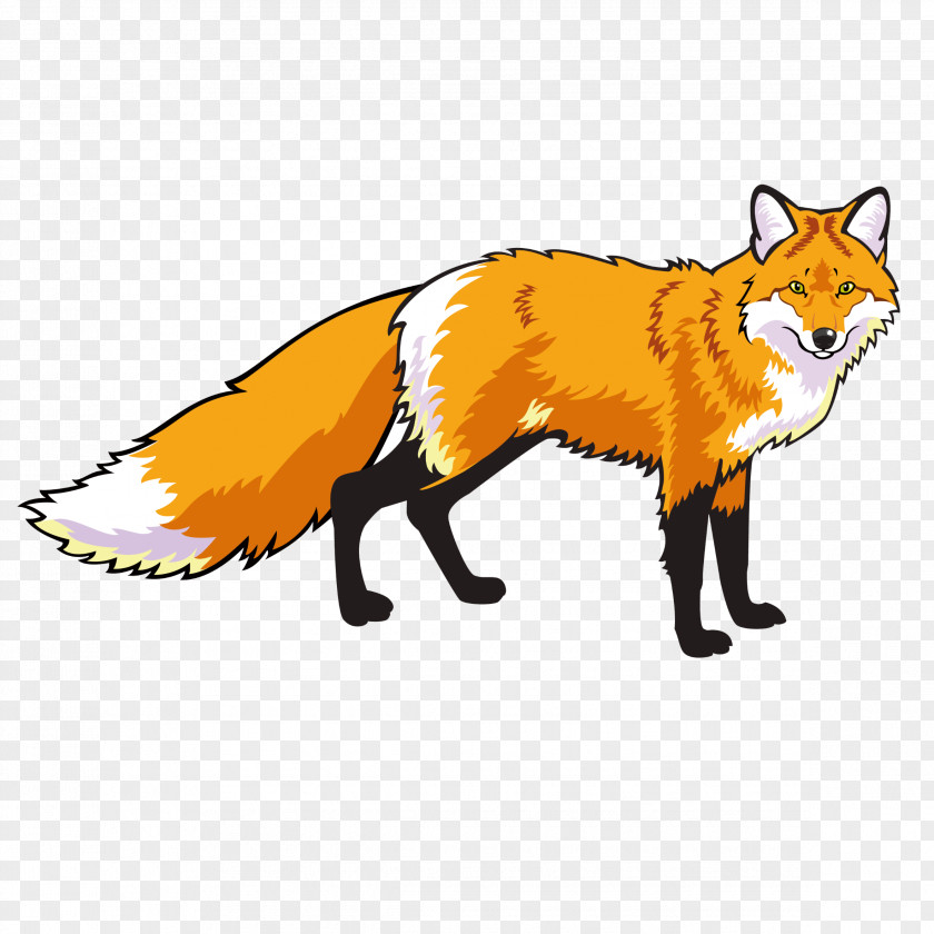 Fox Red Drawing Clip Art PNG