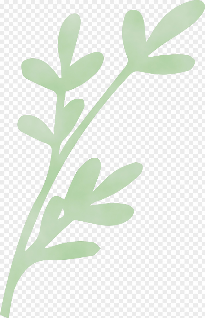 Leaf Plant Stem Flower Font Meter PNG