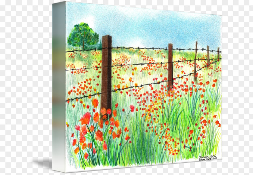 Painting Canvas Print Printing Barbed Wire PNG