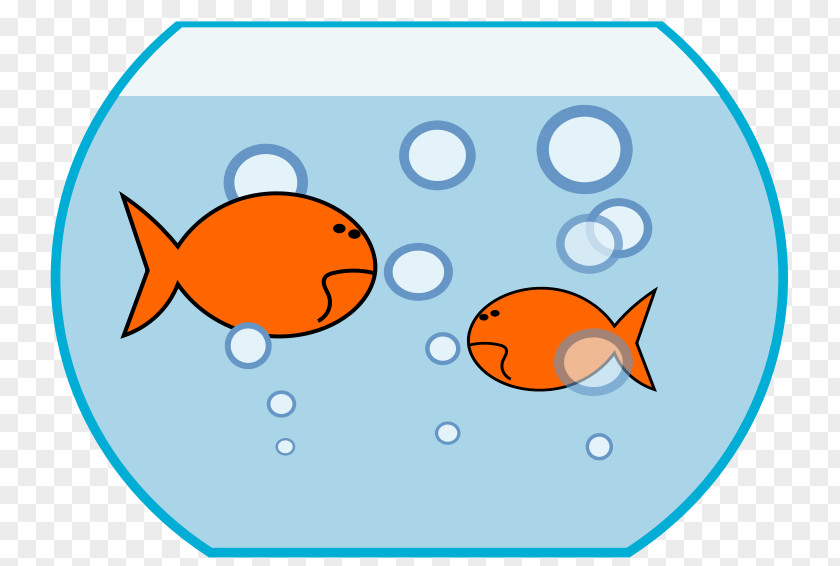 Two Small Fish Bowl Of Goldfish Carassius Auratus Aquarium Clip Art PNG