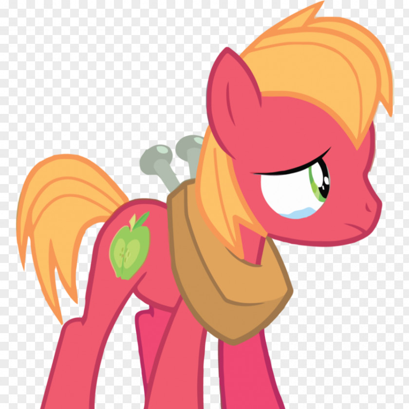 Arch Pony Big McIntosh Applejack Fluttershy Apple Bloom PNG