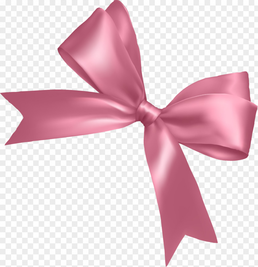Beautiful Pink Bow Knot Ribbon Shoelace PNG
