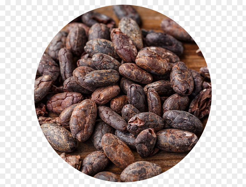Chocolate Cacao Tree Cocoa Bean Food Dark PNG