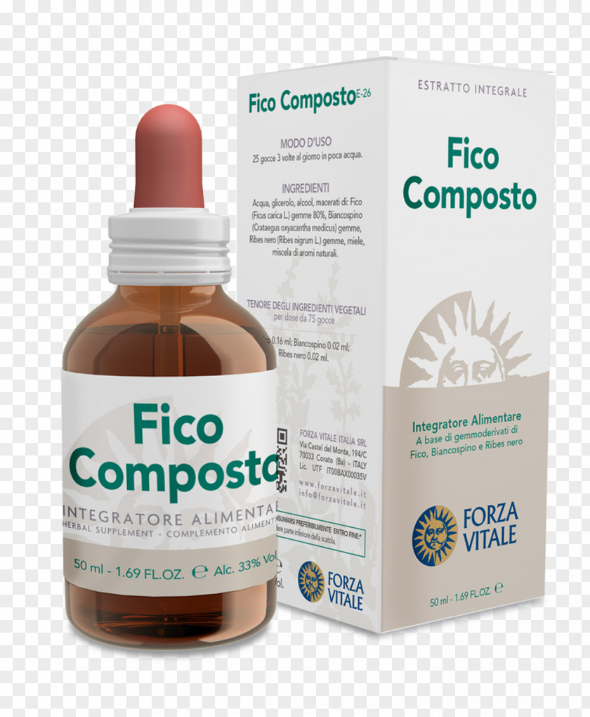 Ficus Carica Dietary Supplement Common Fig Chemical Compound Gemmotherapy Forza Vitale Italia SRL PNG