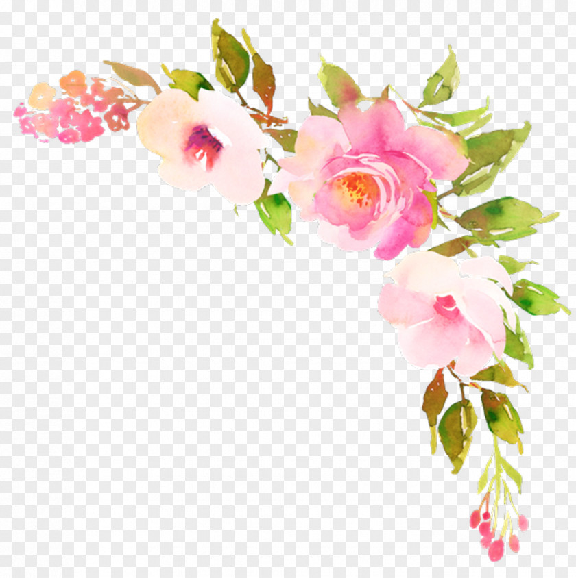 Floristry Plant Stem Pink Flower Cartoon PNG