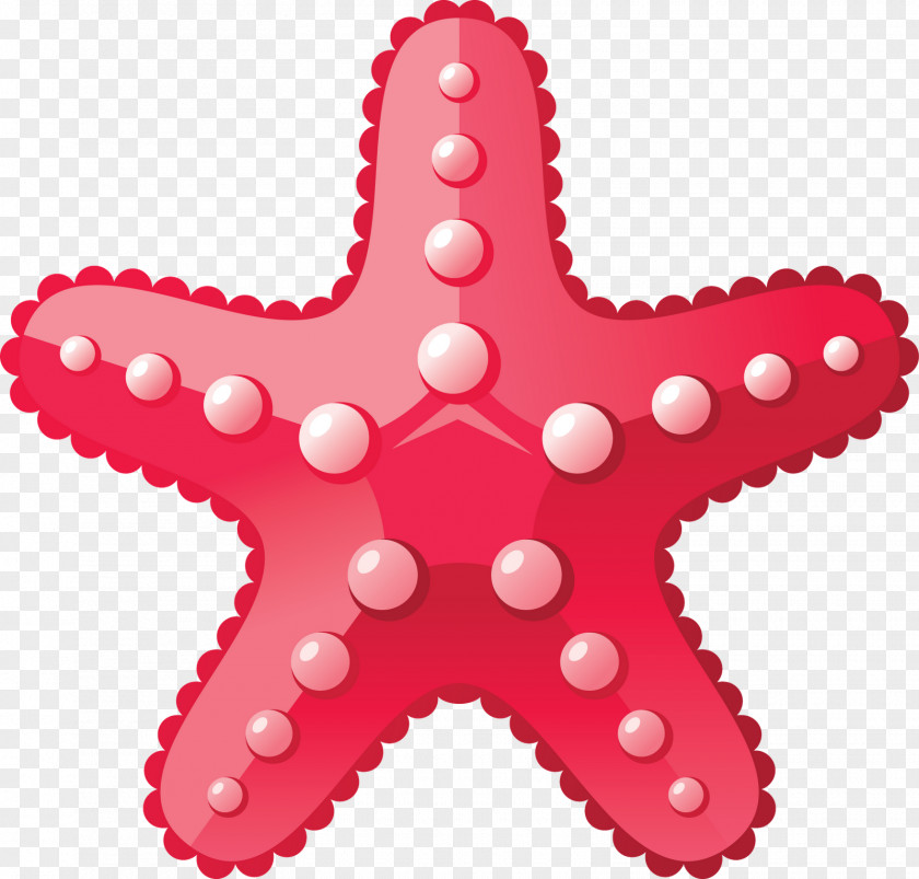 Life Time Desktop Wallpaper Starfish Clip Art PNG