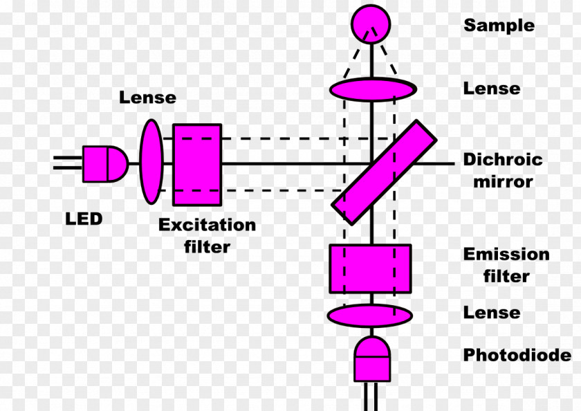 Light Filter Fluorometer Fluorescence Dichroic PNG