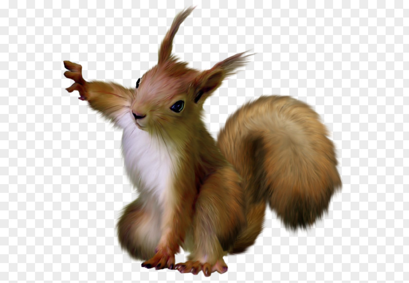 Painted Squirrel Clipart Clip Art PNG