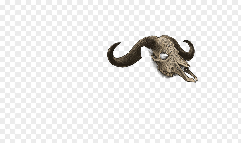 Personality Skull Indian Elephant PNG