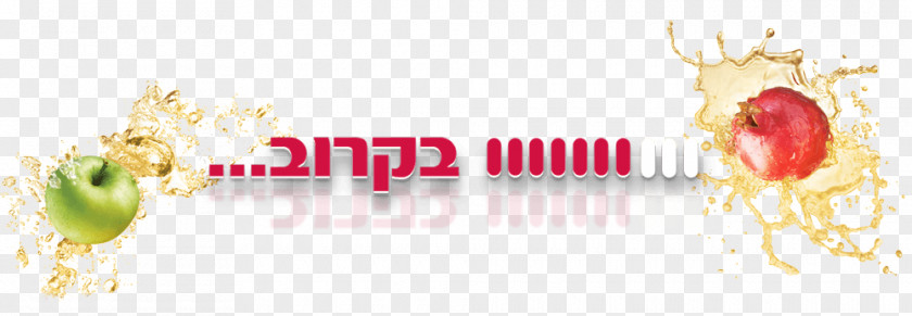 Rosh Hashana Keyword Tool Research Inventory Shufersal Discounts And Allowances PNG