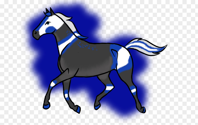 Sweet Tooth Mule Foal Halter Mustang Pony PNG