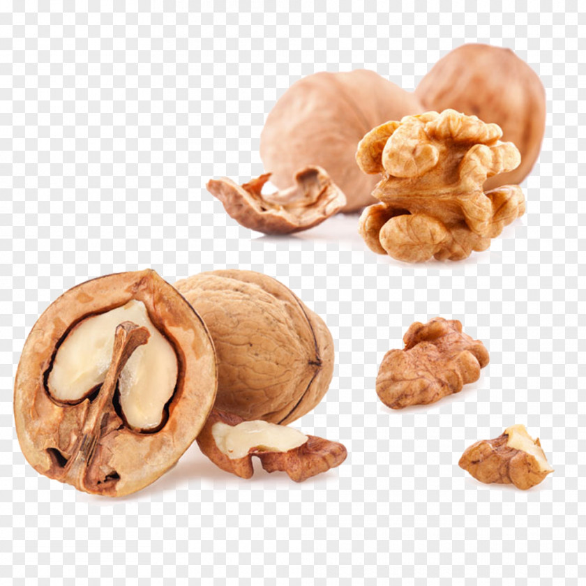 Walnut Composition English Nuts Fruit PNG