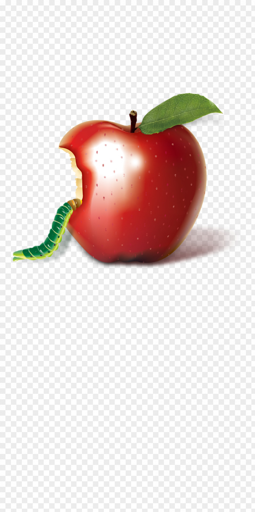 Apple Insects Download PNG