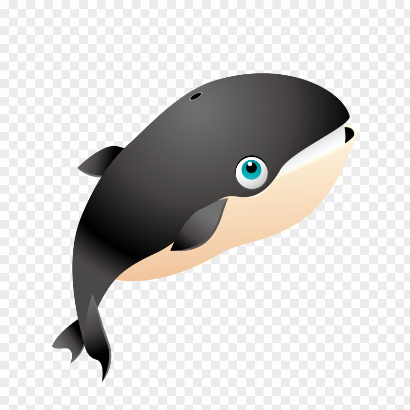 Black Sharks Blue Whale Killer Clip Art PNG