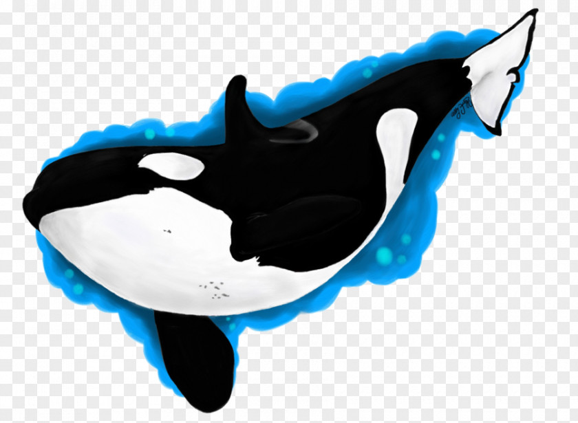 Dolphin Killer Whale Clip Art PNG