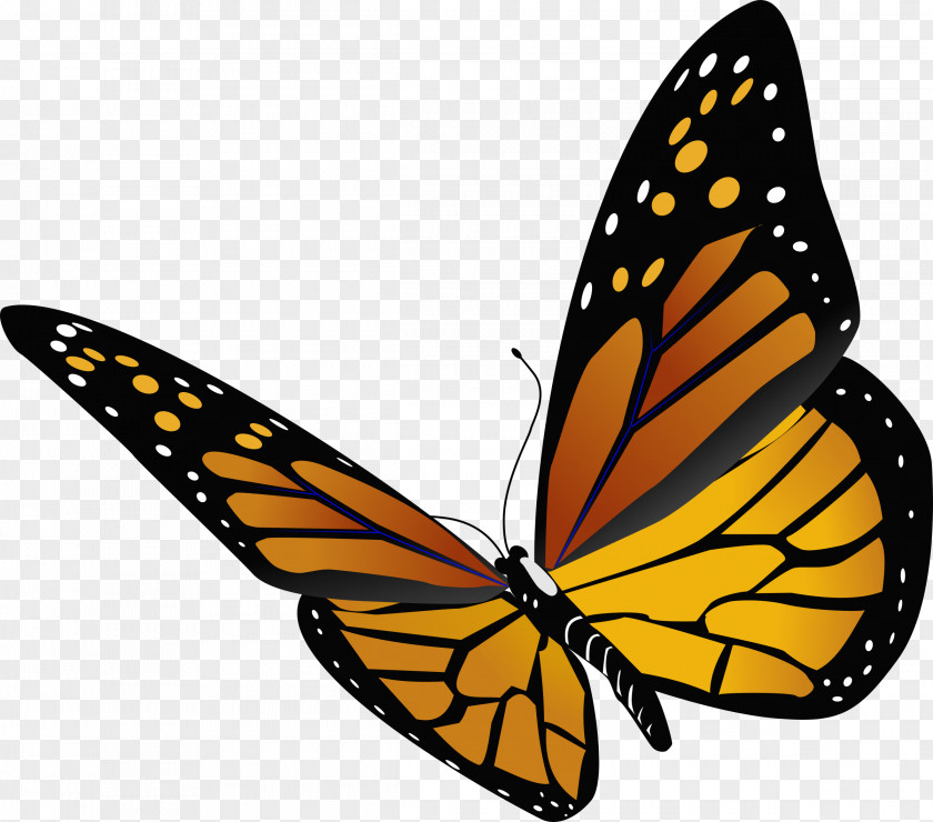 Dragonfly Monarch Butterfly Insect Clip Art PNG
