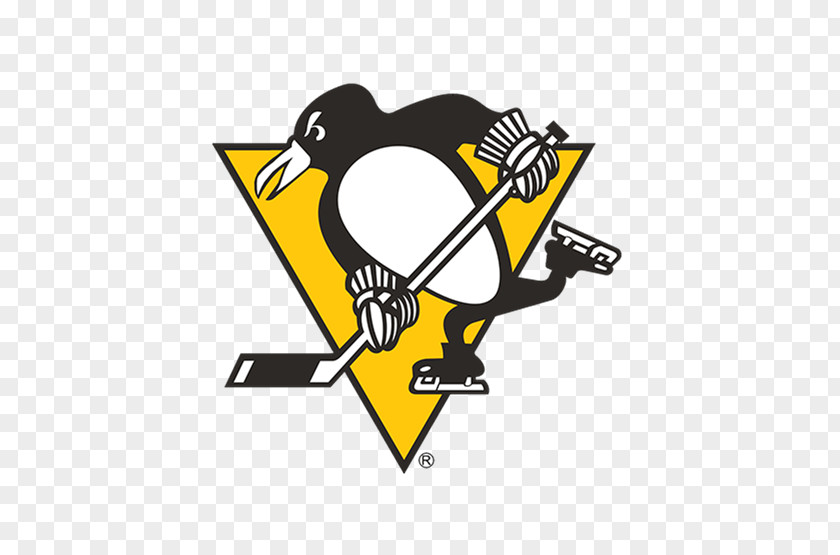 Hockey Pittsburgh Penguins National League 2017 Stanley Cup Finals Nashville Predators NHL Winter Classic PNG