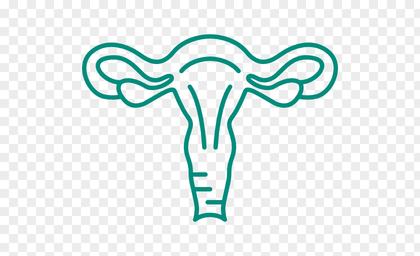 Hysterectomy Uterus Contraceptive Patch Surgery Gynaecology PNG