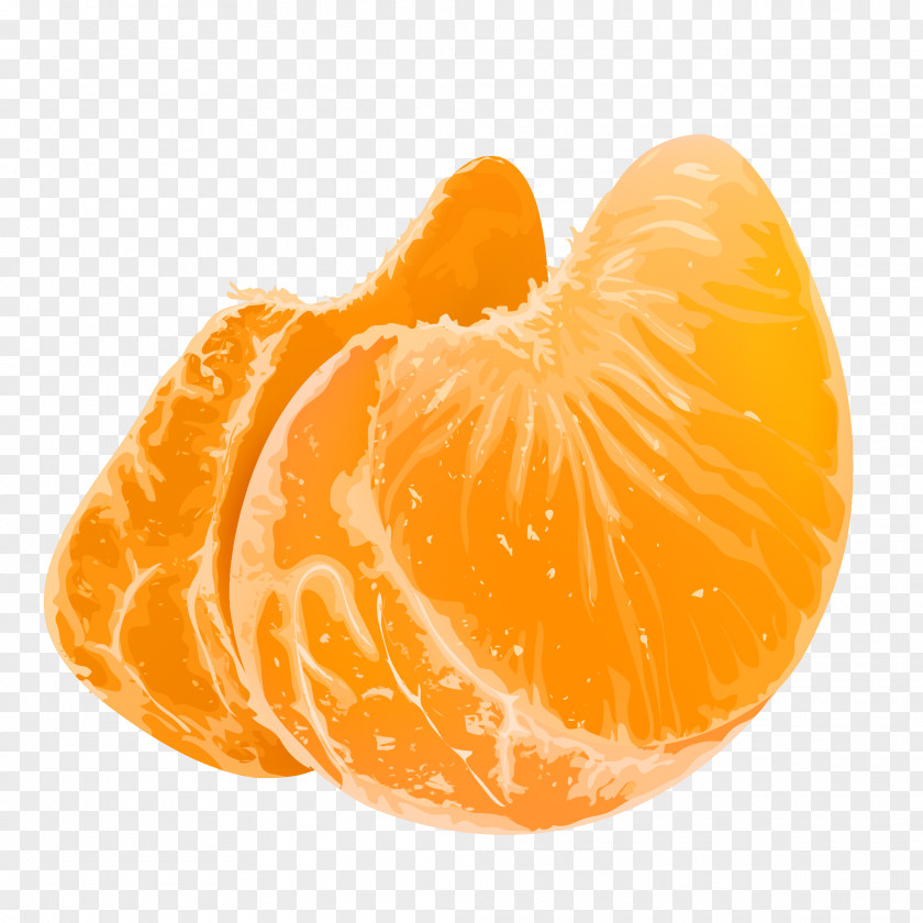 Orange Mandarin Fruit Clip Art Tangerine PNG