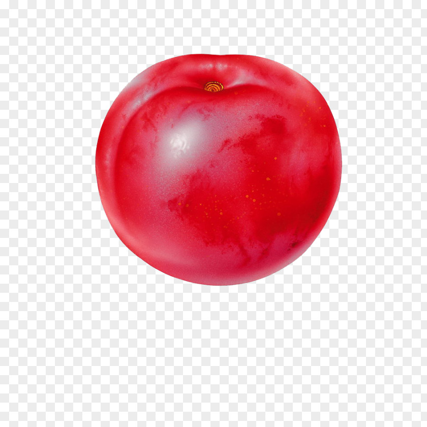 Red Plums Tomato Plum Auglis PNG