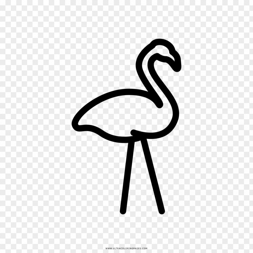 Flamingo Icon Drawing Flamingos Coloring Book Painting Water Bird PNG